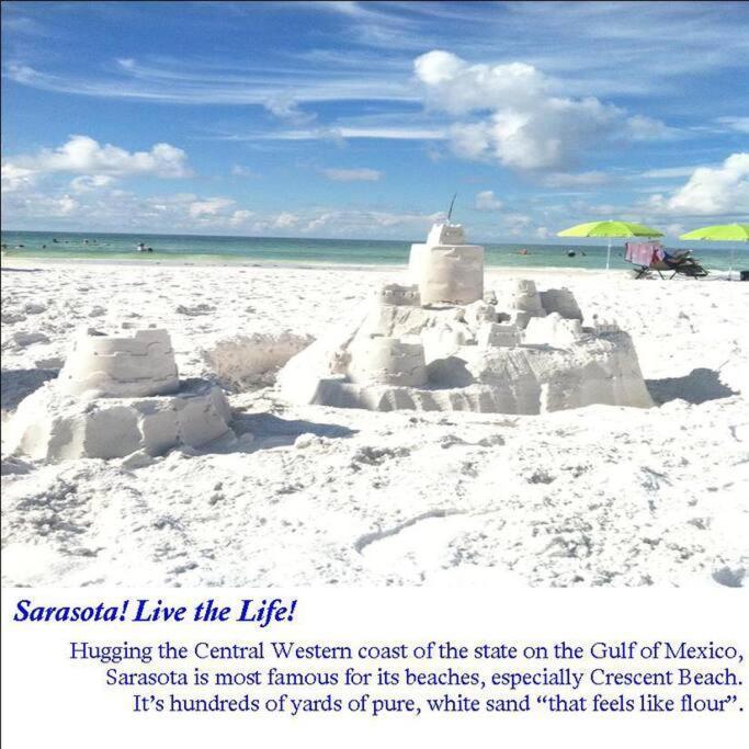 Bernice 3Bd2Bth With Heated Pool Near Siesta Key! Sarasota Exteriör bild